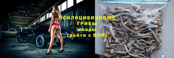 ешки Балахна