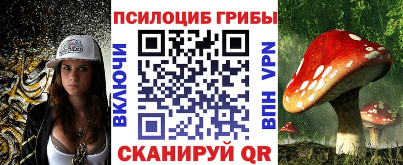 omg ссылка  Глазов  Галлюциногенные грибы Magic Shrooms 